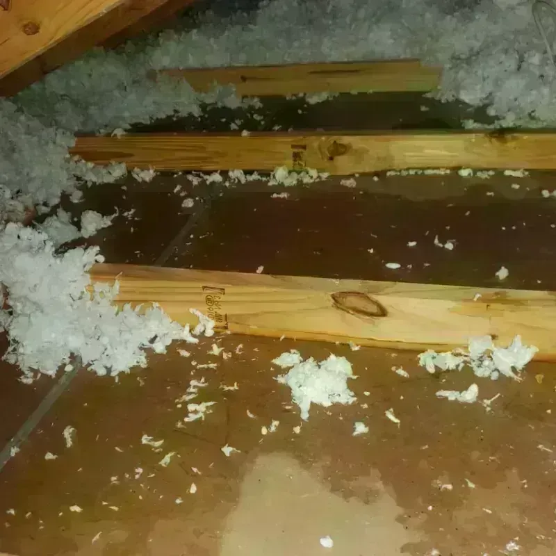 Attic Water Damage in Newaygo, MI